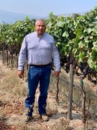 Man standing in a vineyard with lush green grapevines under a clear sky.